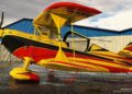 Microsoft Flight Simulator Wolf Pitts