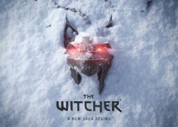 Next Witcher Game