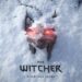 Next Witcher Game